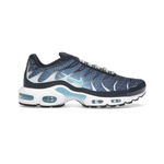 Nike Air Max Plus Dark Obsidian