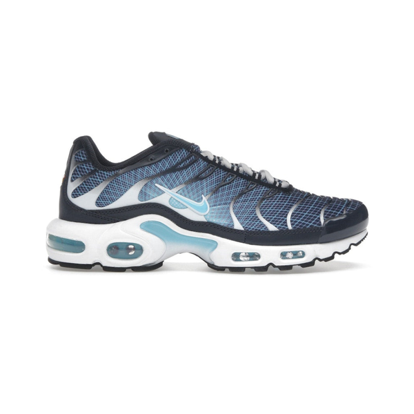 Nike Air Max Plus Dark Obsidian