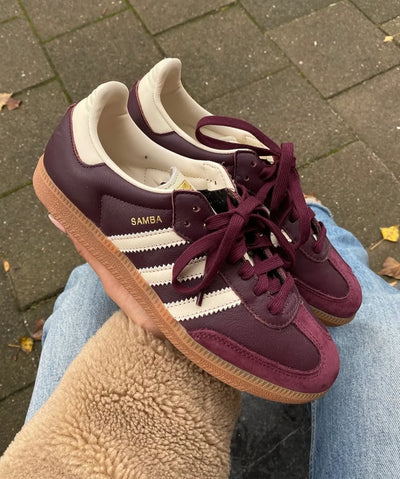 adidas Samba OG Maroon Gold Metallic (Women's)