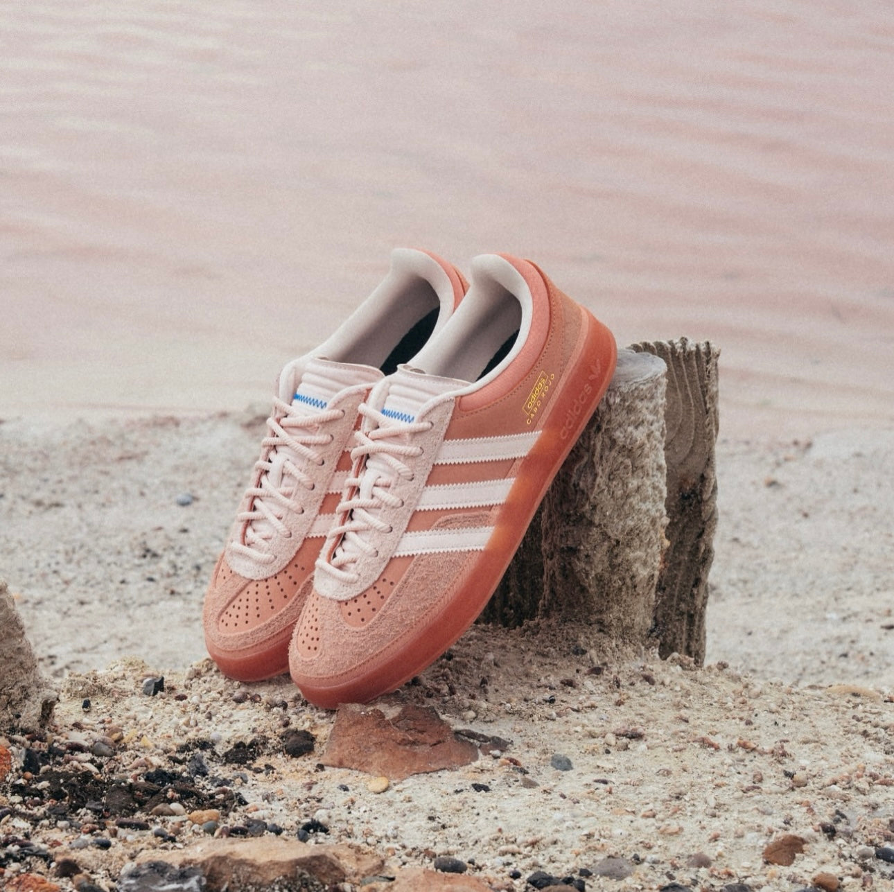 adidas Gazelle Indoor Bad Bunny Wonder Clay