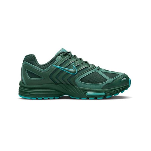 Nike Air Peg 2K5 Fir Bicoastal