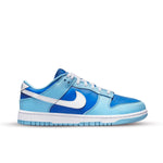 Nike Dunk Low Retro Argon White