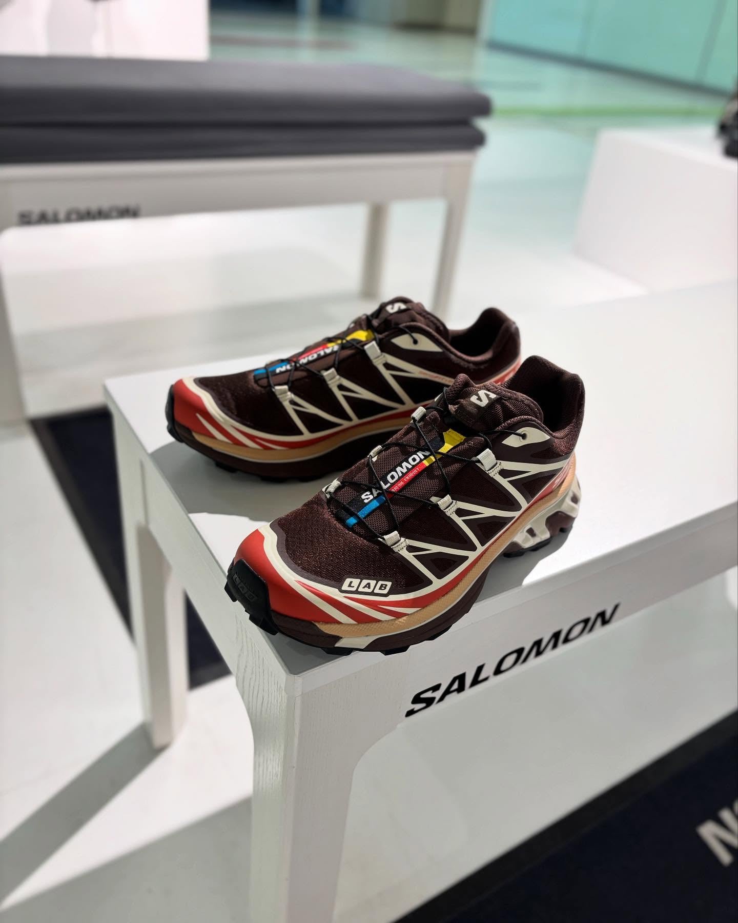 Salomon XT-6 Gore-Tex Roasted Clay