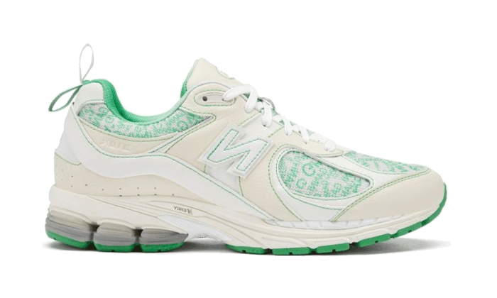 New Balance 2002R GANNI Turtledove